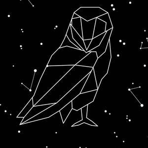 Fake stars connected to form a barn owl. For some reason, there are a few stars connecting outside of it to form angles.
