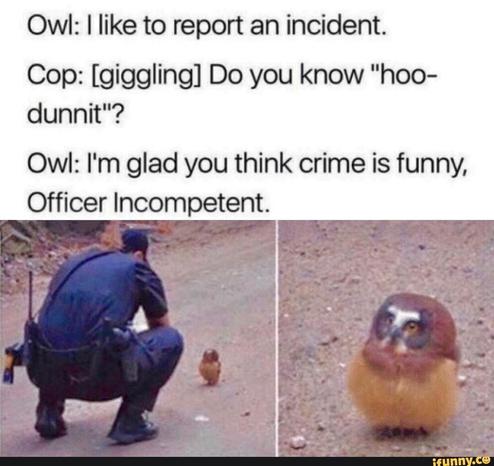 Text:
Owl: I like to report an incident.
Cop: [giggling] Do you know "hoo-dunnit"?
Owl: I'm glad you think crime is funny, Officer Incompetent.

Left image: Cop hunched over a spectacled owl.
Right image: Close up of the owl.